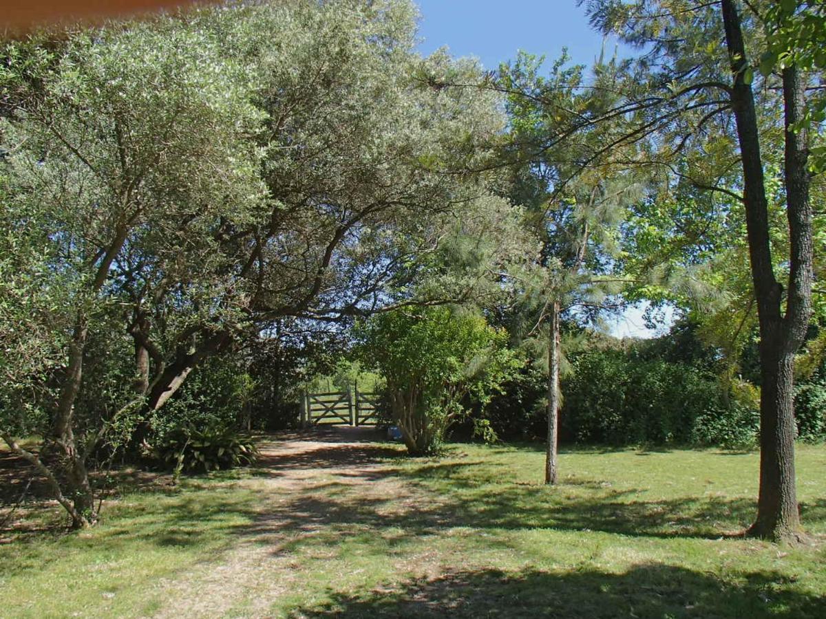 Holiday home La Carmencita Casa De Campo, Manzanares, Pilar *