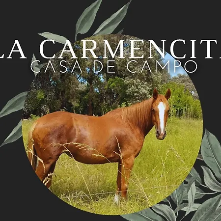 La Carmencita Casa De Campo, Manzanares, Pilar Pilar  Exterior photo